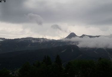 Trail Nordic walking Corrençon-en-Vercors - la glacière - Photo