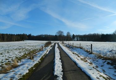 Tocht Te voet Malmedy - Ligneuville : Haye - Photo