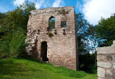 Tour Zu Fuß Kranichfeld - Kranich-Rundwanderweg 2 - Photo