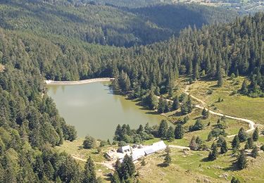 Tour Wandern Schnierlach - 2 ème journée rando 4 lacs  - Photo