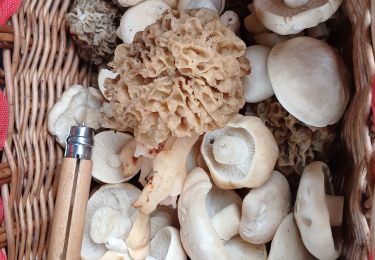 Percorso Marcia Gex - morilles et st georges - Photo