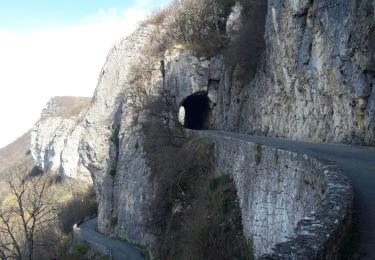 Tocht Stappen Brison-Saint-Innocent - Brison 16 mars 2020 - Photo