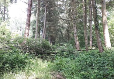 Tocht Stappen Somme-Leuze - Sentier d'Art d'Heure à Ciney - Photo