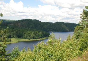 Tour Zu Fuß  - Vitingeleden - Photo