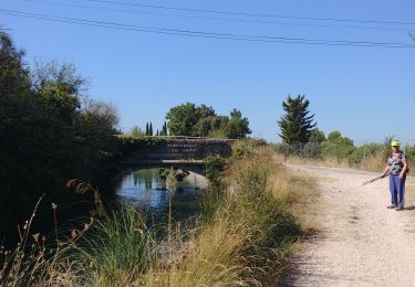 Percorso Marcia Pernes-les-Fontaines - canal de carpentras - Photo