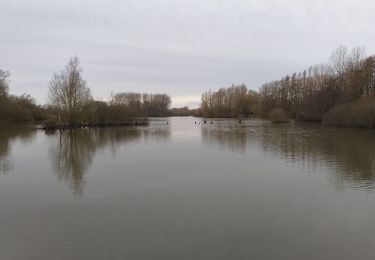 Tocht Stappen Fretin - Fretin Pistes Aeroport - Photo