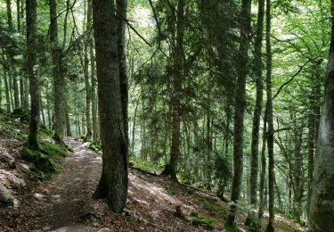 Tour Wandern Estaing - Ruines de Lientrans - Photo