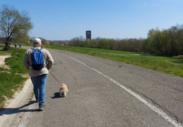 Percorso Marcia Farciennes - Farciennes piromchamps - Photo