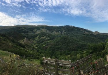 Excursión A pie Cistierna - La Huella de las Legiones - Photo