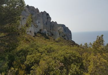 Randonnée Marche La Ciotat - falaise du cap Canaille AR - Photo