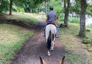 Trail Horseback riding Montsauche-les-Settons - Manger une glace et un smoothi - Photo