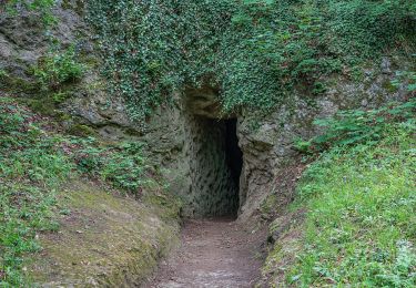 Trail On foot Bad Liebenstein - DE-grünes Dreieck - Photo