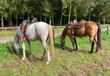 Trail Horseback riding Bouxwiller - rando acpl chez sandra 13 10 24 - Photo