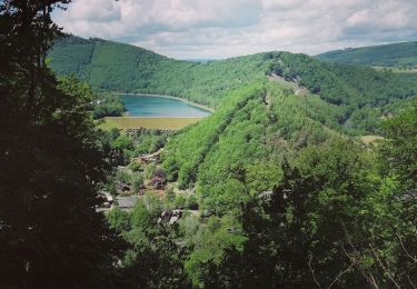 Tocht Stappen Stavelot - Promenade des pavillons à Coo   - Photo