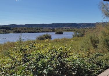 Tour Wandern Châteauneuf-les-Martigues - Étang de Bolmont  - Photo