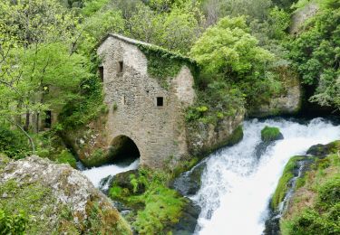 Tocht Stappen Val-d'Aigoual - blandas moulin de la foux-14 km - Photo