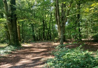 Tocht Stappen Seraing - Bois de la Vecquée  - Photo