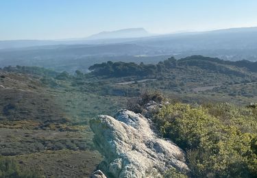 Randonnée Marche Pélissanne - Pélissanne boucle du valdegond - Photo