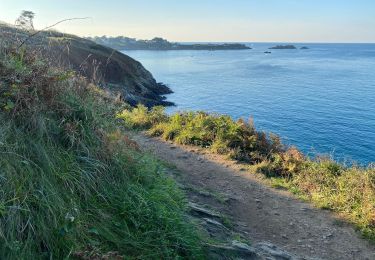 Tocht Stappen Dinard - Dinard St Lunaire  - Photo