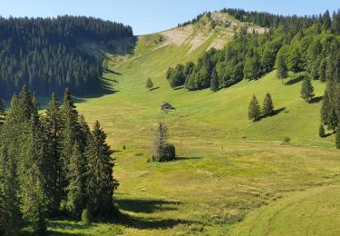 Tocht Stappen Les Rousses - Mont Sàla (boucle) - Photo