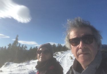 Randonnée Raquettes à neige Formiguères - Formigueres el collet  - Photo