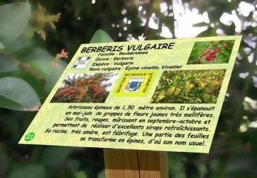 Tocht Stappen Furmeyer - R05 - Le Sentier botanique de Furmeyer, la boucle des Charrières - Photo