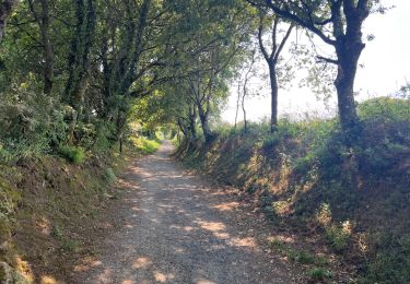 Trail Walking Portomarín - 2022 Camino de Santiago 3 - Photo