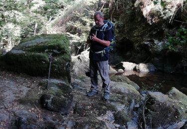 Trail Walking Gimel-les-Cascades - chemin de la gour - Photo