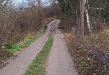 Tour Wandern Bassenge - Eben Emael - Photo