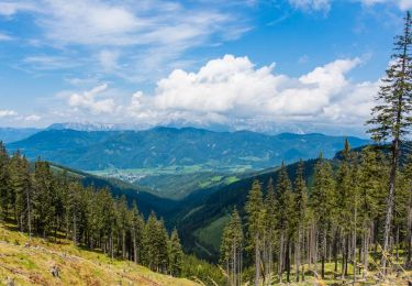 Tour Zu Fuß Gemeinde Rettenegg - Planetenweg - Photo