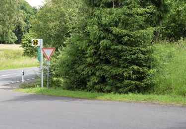 Randonnée A pied Helsa - Kaufunger Wald, Rundweg 21 - Giesenbachtal - Photo