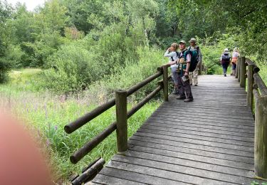 Tocht Stappen Saint-Pierre-du-Perray - 30-06-20 - Photo