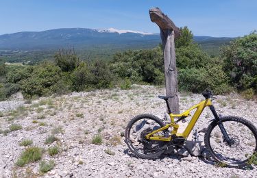 Trail Mountain bike Mormoiron - Traversée Ventoux Sud - Photo