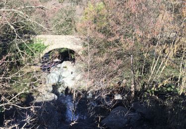 Tocht Stappen Reynès - Reynes par le chemin des mas - Photo