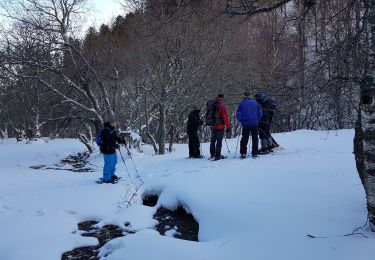 Tour Schneeschuhwandern Chambon-sur-Lac - Journée raquettes le 12/02/2019 - Photo