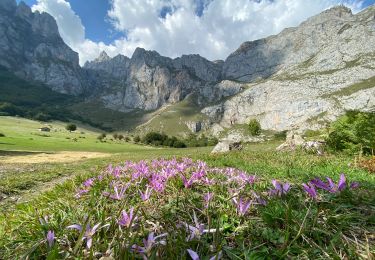 Excursión Senderismo Camaleño - Fuente De (haut téléphérique au départ téléphérique  - Photo