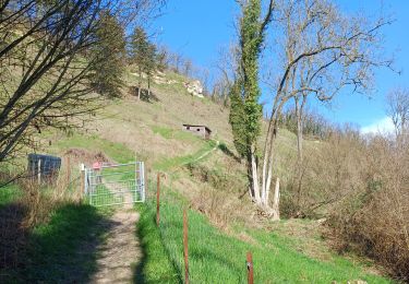 Tocht Stappen Wezet - montagne st pierre 12 km7oo - Photo