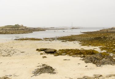 Trail Walking Plouguerneau - Côte Nord-est de Plouguerneau - Photo