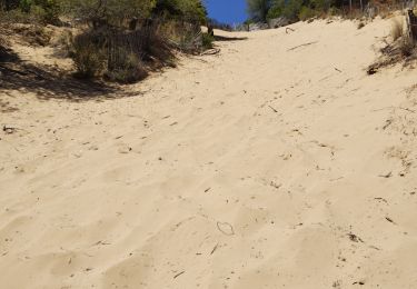 Percorso Marcia Saint-Cyr-sur-Mer - Dune de sable  - Photo