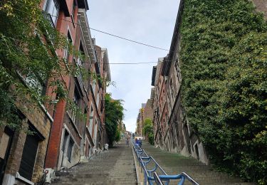 Tocht Stappen Luik - Liège Centre-ville & Coteaux - Photo