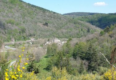 Randonnée Marche Mont Lozère et Goulet - Tournel Oulmes - Photo