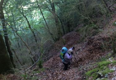 Randonnée Marche Moirans-en-Montagne - GR 9 - Étape 4 : La grange au Guy - Lavans-lès-St Claude - Photo