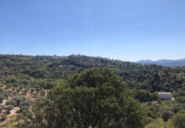 Tour Radtourismus  Saint-Cézaire-sur-Siagne - ST Cezaire Callian - Photo