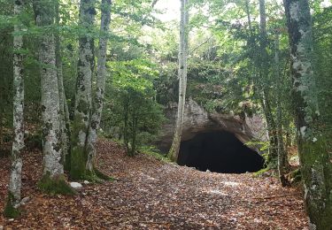 Trail Walking Presles - Coulmes - La Fontaine de Pétouze par la grotte des Boeufs  - Photo