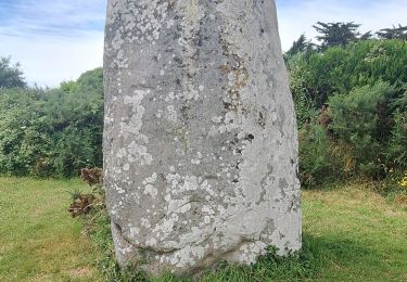 Tour Mountainbike Sarzeau - velo menhir - Photo