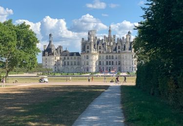 Percorso Marcia Chambord - Chambord 1 - Photo