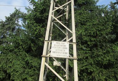 Tour Zu Fuß Predeal - Predeal - Forban - Valea Frăsinet - Photo