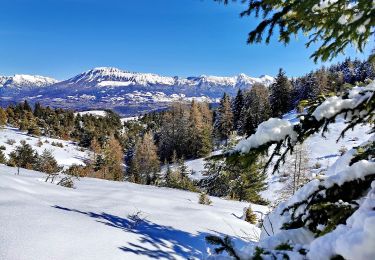 Excursión Esquí de fondo Selonnet - 20210218 - Tête grosse - Chabanon - Selonnet - Photo