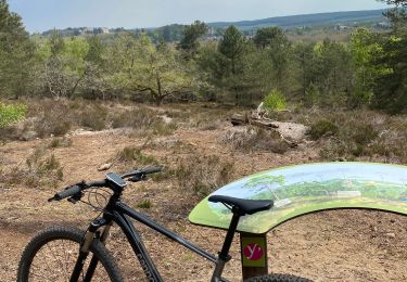 Trail Mountain bike Rambouillet - Rambouillet/ Rochefort en yvelines - Photo