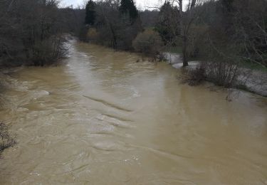 Tour Wandern Barbaste - cauderoue- le Rey - Cauderoue - Photo